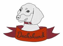 Dachshund head in colorful line art with a curious expression, below a bright red ribbon spelling 'Dachshund'.