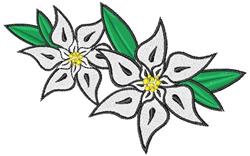 Edelweiss - 5x7 leaf detailed machine embroidery design for decorative pillow covers