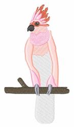 Fancy Cockatoo
