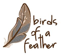Whimsical feather in rich brown and blue shades with 'birds of a feather' text in casual script.
