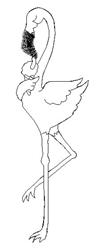 Flamingo Eating - 4x4 bird quick stitch embroidery design for Wedding Banners