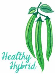 Stylized green beans with bright green shades hanging from a stem with playful cursive text 'Healthy Hybrid'.