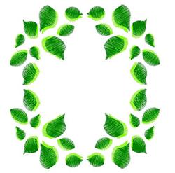Natural green leaves frame with varied sizes, vibrant shades, and detailed textures, ideal for machine embroidery.