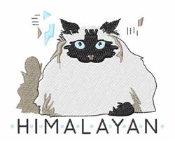 Playful Himalayan cat illustration with fluffy white fur, blue eyes, and a black face, surrounded by geometric shapes.