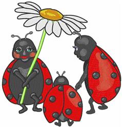 Ladybugs