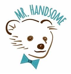Cartoon bear face with a teal bow tie and 'MR. HANDSOME' text in playful font, perfect for kids.