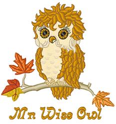 Mr. Wise Owl