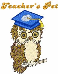 Whimsical brown owl wearing a blue graduation cap holds a ruler, with 'Teacher's Pet' in yellow, perfect for graduation.