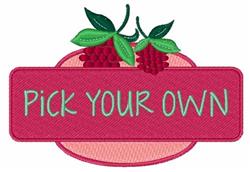 Vibrant pink background featuring playful raspberries and green leaves with 'PICK YOUR OWN' text for summer kitchen decor.