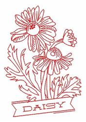 Redwork daisy flowers with detailed petals and leaves, featuring a banner that reads 'DAISY'.