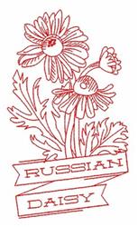 Redwork daisy flowers with intricate leaves and a ribbon reading 'RUSSIAN DAISY' in bold red.