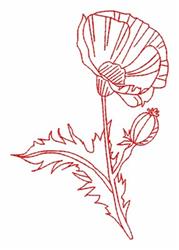 Redwork Poppy - 4x4 leaf redwork machine embroidery design for decorative pillow covers