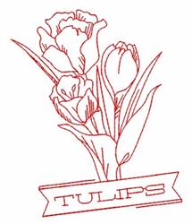 Redwork tulips cluster with varied shapes, outlined in red, paired with green leaves and a 'TULIPS' banner.