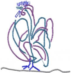 Whimsical rooster in line art with flowing blue and purple feathers, grounded with a line at the bottom.