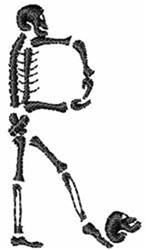 quick stitch halloween skeleton machine embroidery pattern - Skeleton R for kitchen tea towels
