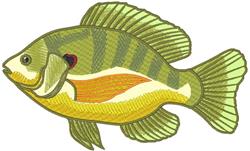Sunfish