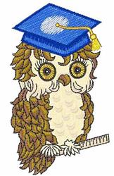 Wise Owl