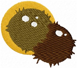 Two coconuts