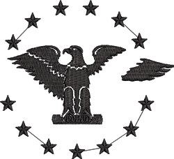 Broken Wing Eagle