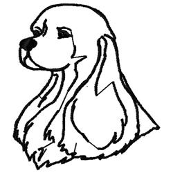 Cocker Profile