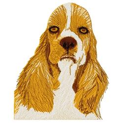 Cocker Spaniel