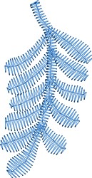 Stylized fern leaf in vibrant blue, featuring elegant linear details, showcasing modern botanical artistry.