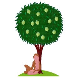 Lime Tree