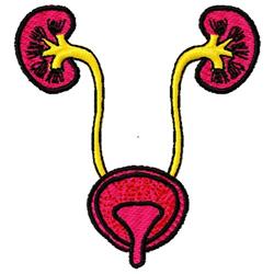 system beginner-friendly machine embroidery - Urinary System perfect for Event Decor