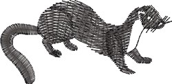 Weasel