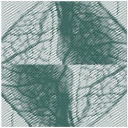 Abstract leaf design with geometric shapes, featuring deep green sections and intricate vein details in a minimalist style.