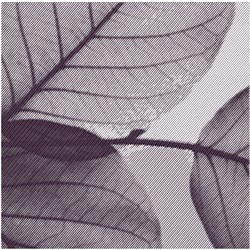 Realistic Translucent Leaf 