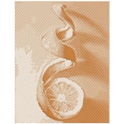 Stylized lemon slice with a curled peel against a light backdrop, emphasizing fresh texture and minimalistic design.