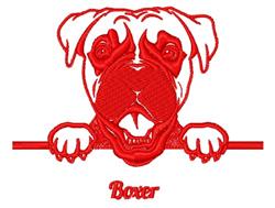 Boxer
