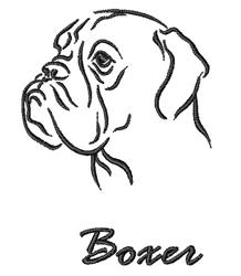 Boxer Head
