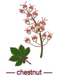 Vibrant chestnut branch with clusters of white and red flowers and a green leaf, showcasing natural elegance.