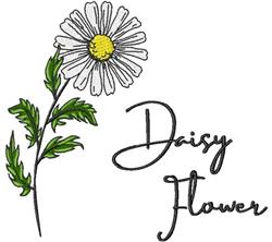 Whimsical daisy flower with bright white petals and yellow center, surrounded by green leaves, perfect for spring.