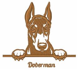 Doberman