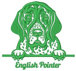 English Pointer
