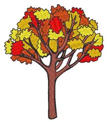 Fall Oak Tree