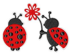 Ladybugs