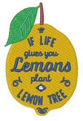 Lemon Tree