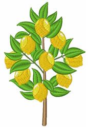 Lemon Tree
