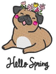 Spring Pug