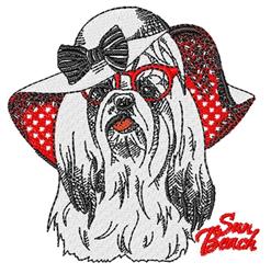 Sun Beach