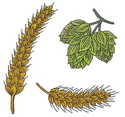 Wheat & Hops