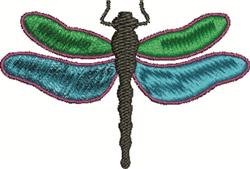 A Dragonfly