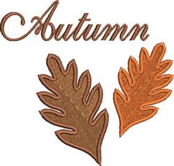 Elegant script text spelling 'Autumn' adorned with two oak leaves in rich brown and orange tones, perfect for fall.