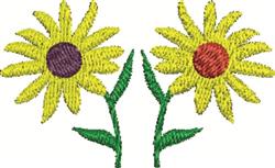 Daisies