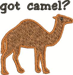 Got Camel