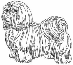 Lhasa Apso